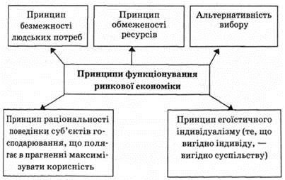 ris.7.jpg