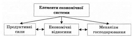ris._2.jpg