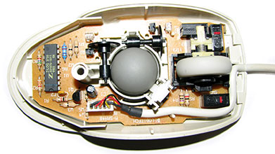http://www.neumeka.ru/images/uchebnik/computer/device/myshka/5.jpg