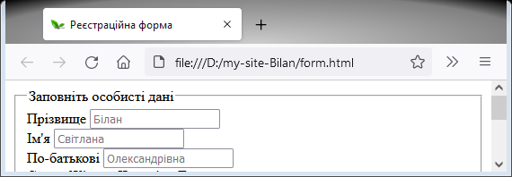 текстові поля